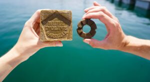 Marseillezeep van Lesseau x La Corvette