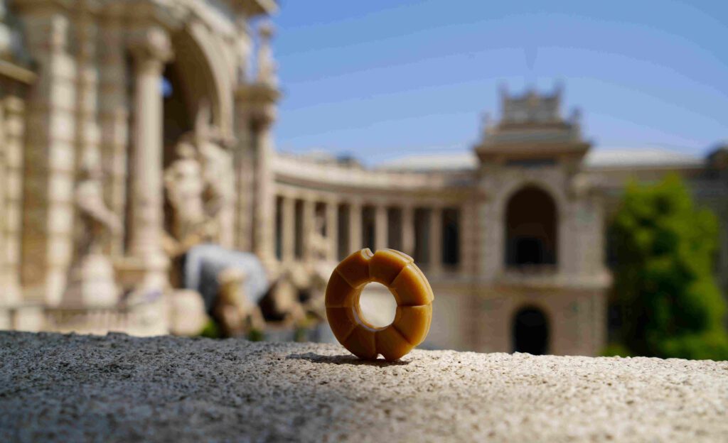 Marseillezeep van Lesseau x La Corvette